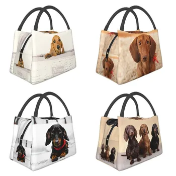 Милые сумки для ланча с изоляцией в виде собаки таксы для женщин, сосиски, сардельки, Барсучьи собаки, Портативный термоохладитель, коробка для бенто для работы и путешествий