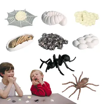 Мини Фигурки Пауков 8ШТ Мини модели пауков на всю жизнь Яркая игрушка паук Обучающая Многофункциональная игрушка для мальчиков и детей